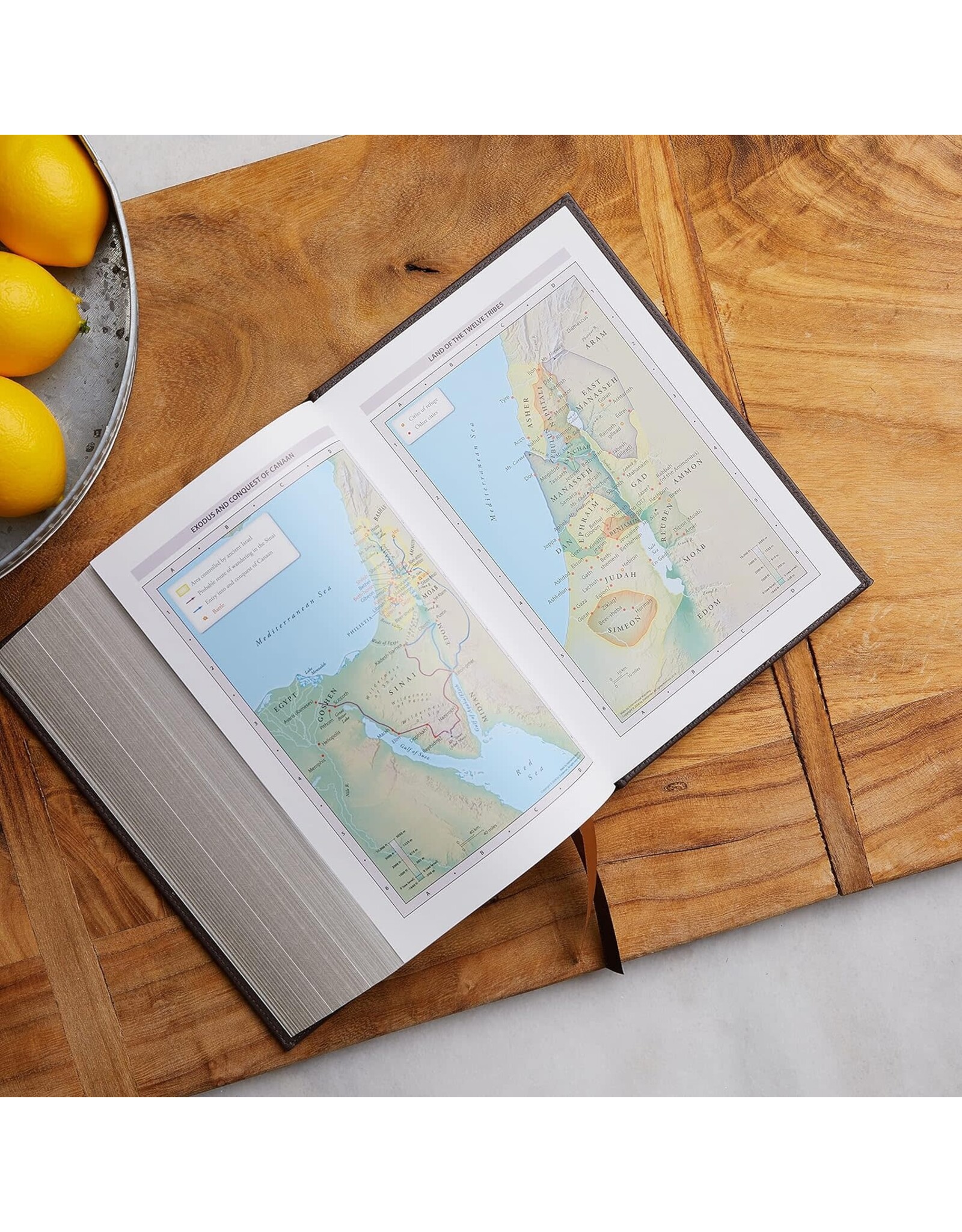 Catholic Bible Press NRSV Catholic Bible, Illustrated, Leathersoft Black