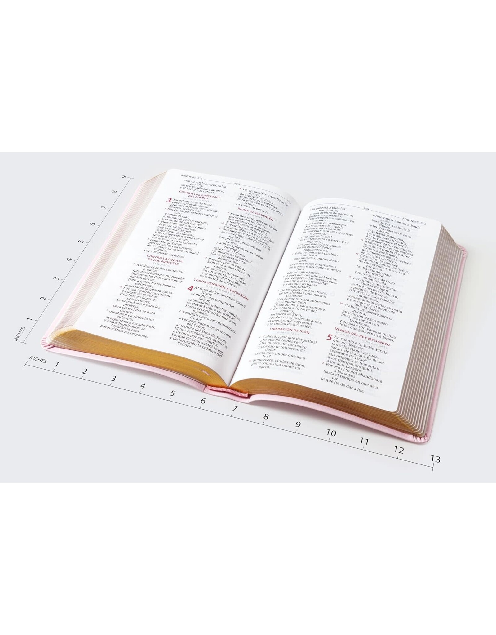 Catholic Bible Press Biblia Católica, Regalos Y Ceremonias, Piel Reciclada, Rosado, Comfort Print