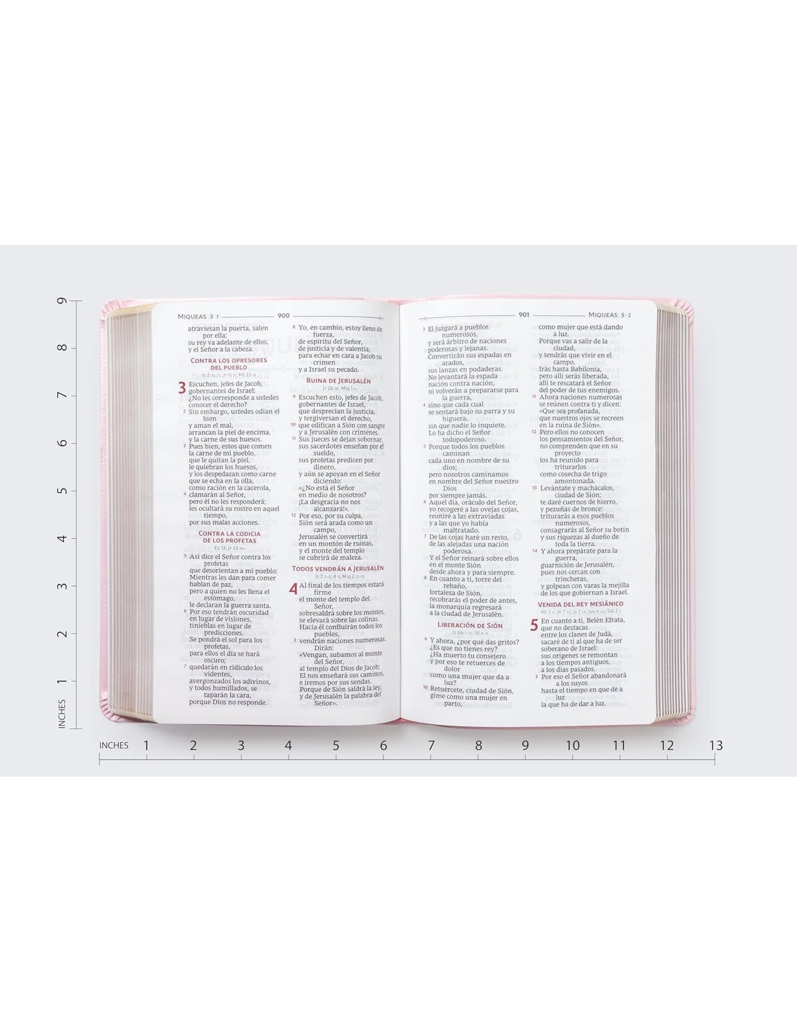 Catholic Bible Press Biblia Católica, Regalos Y Ceremonias, Piel Reciclada, Rosado, Comfort Print