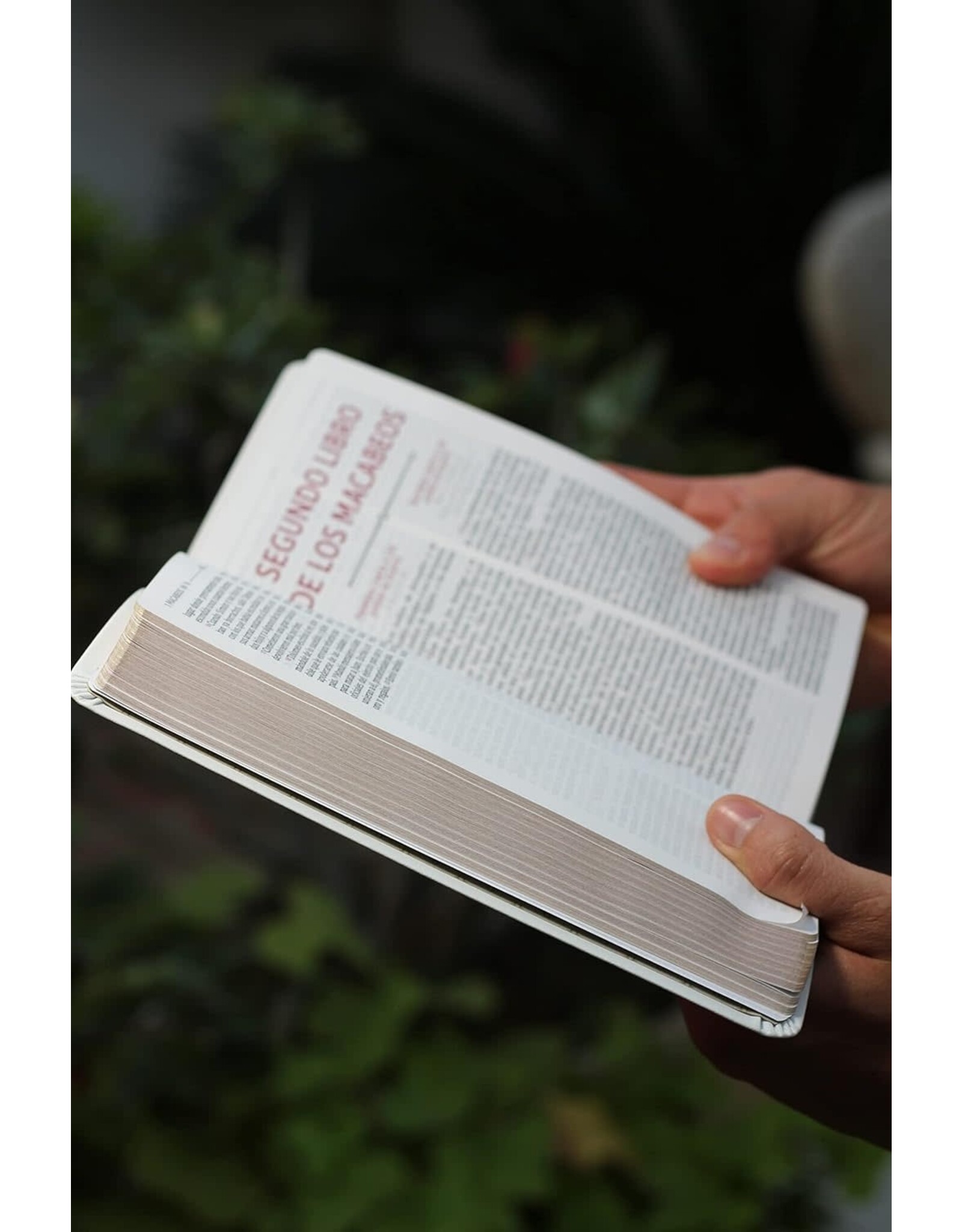 Catholic Bible Press Biblia Católica, Regalos Y Ceremonias, Piel Reciclada, Blanco, Comfort Print