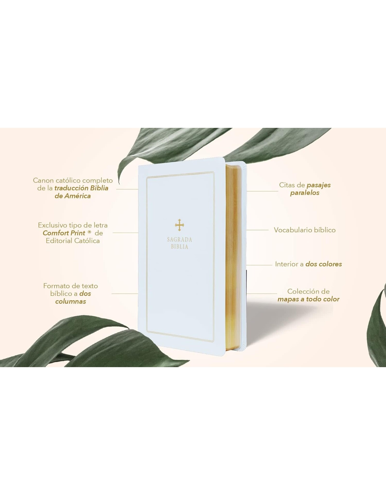 Catholic Bible Press Biblia Católica, Regalos Y Ceremonias, Piel Reciclada, Blanco, Comfort Print