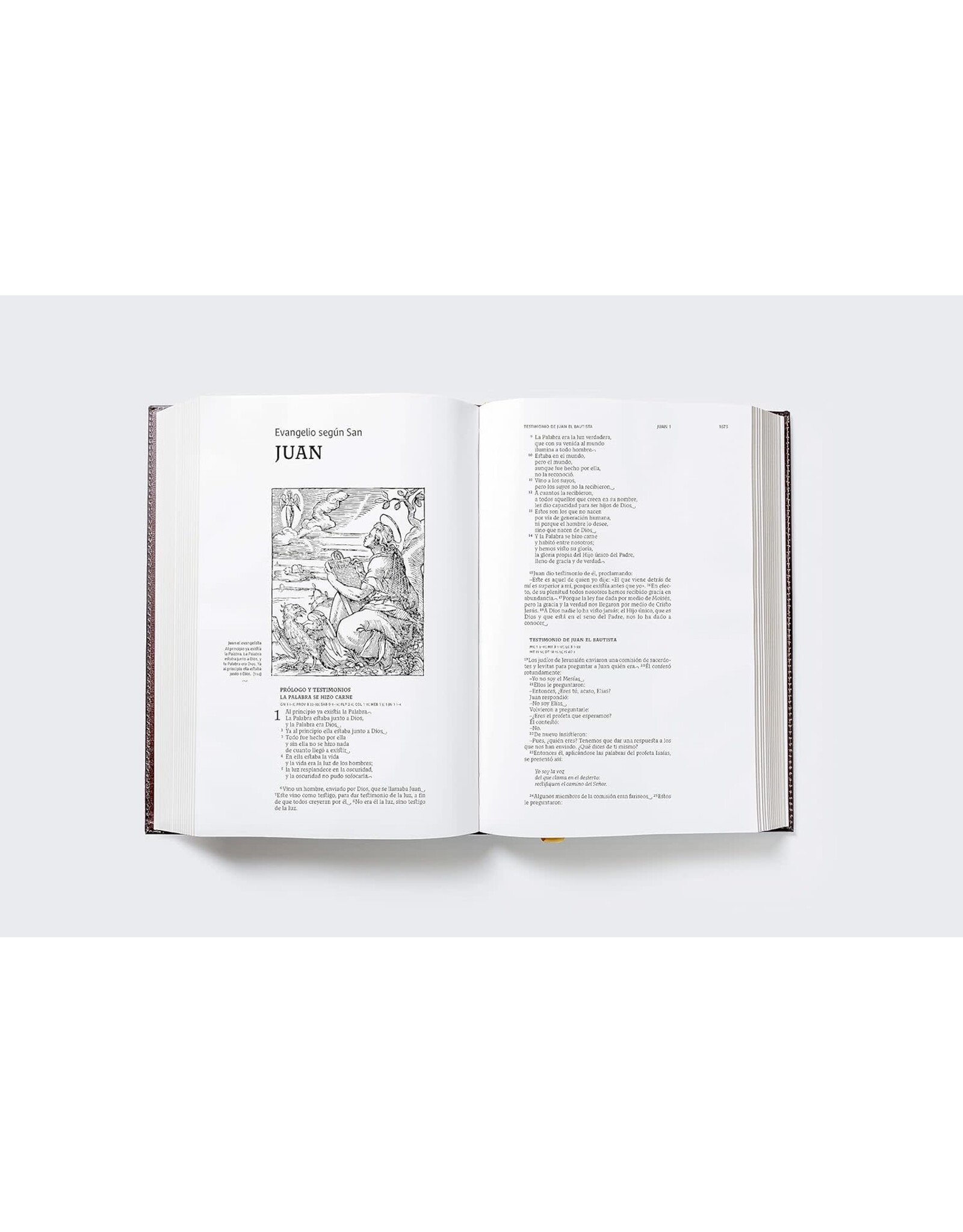 Catholic Bible Press Biblia Católica, Ilustrada, Piel Genuina, Café, Comfort Print