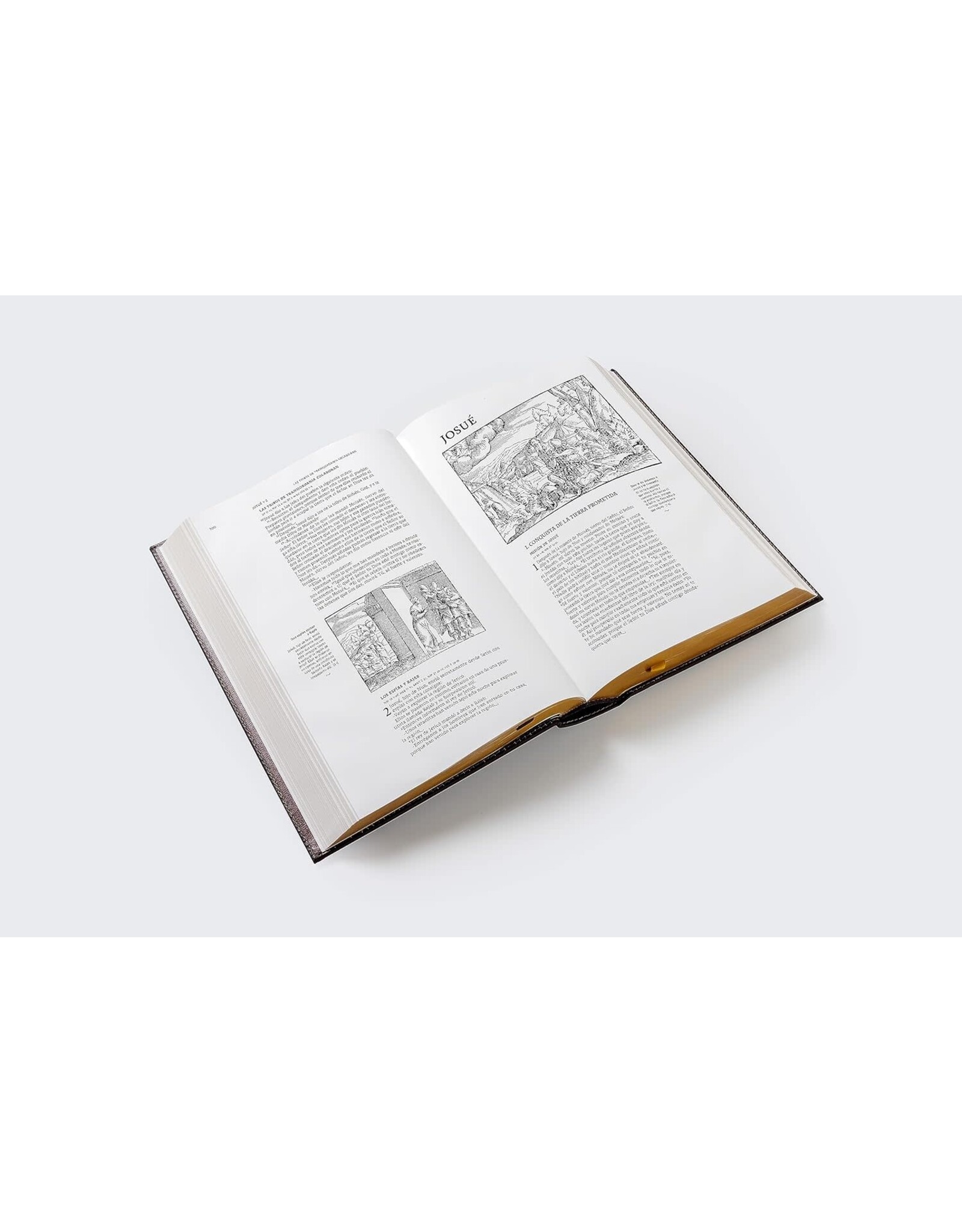 Catholic Bible Press Biblia Católica, Ilustrada, Piel Genuina, Café, Comfort Print