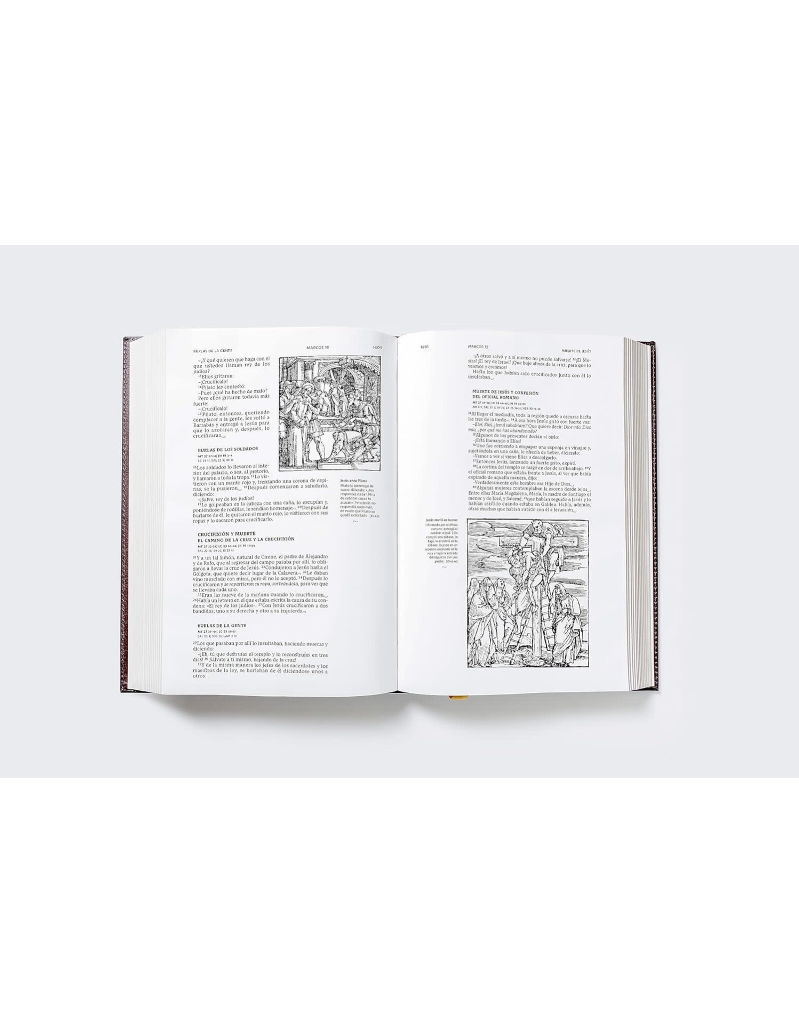 Catholic Bible Press Biblia Católica, Ilustrada, Piel Genuina, Café, Comfort Print