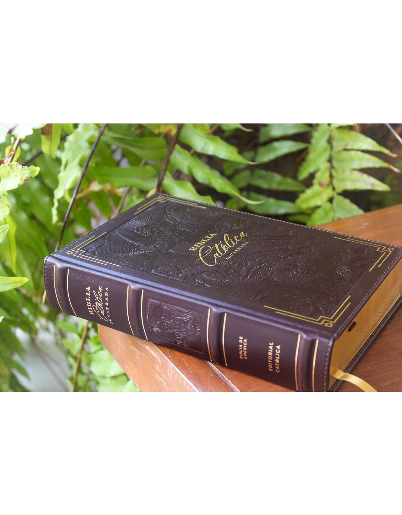 Catholic Bible Press Biblia Católica, Ilustrada, Piel Genuina, Café, Comfort Print