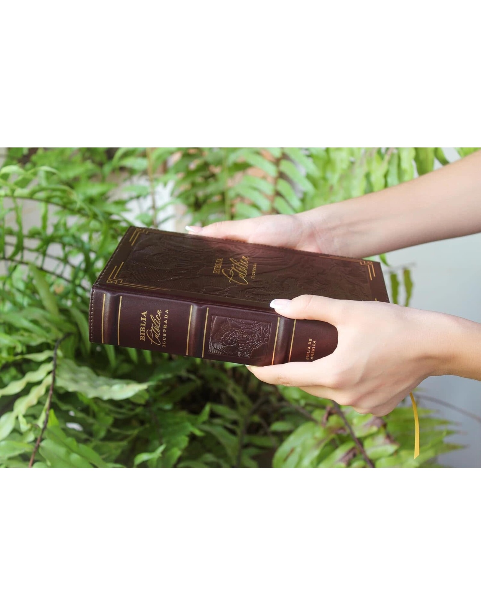 Catholic Bible Press Biblia Católica, Ilustrada, Piel Genuina, Café, Comfort Print