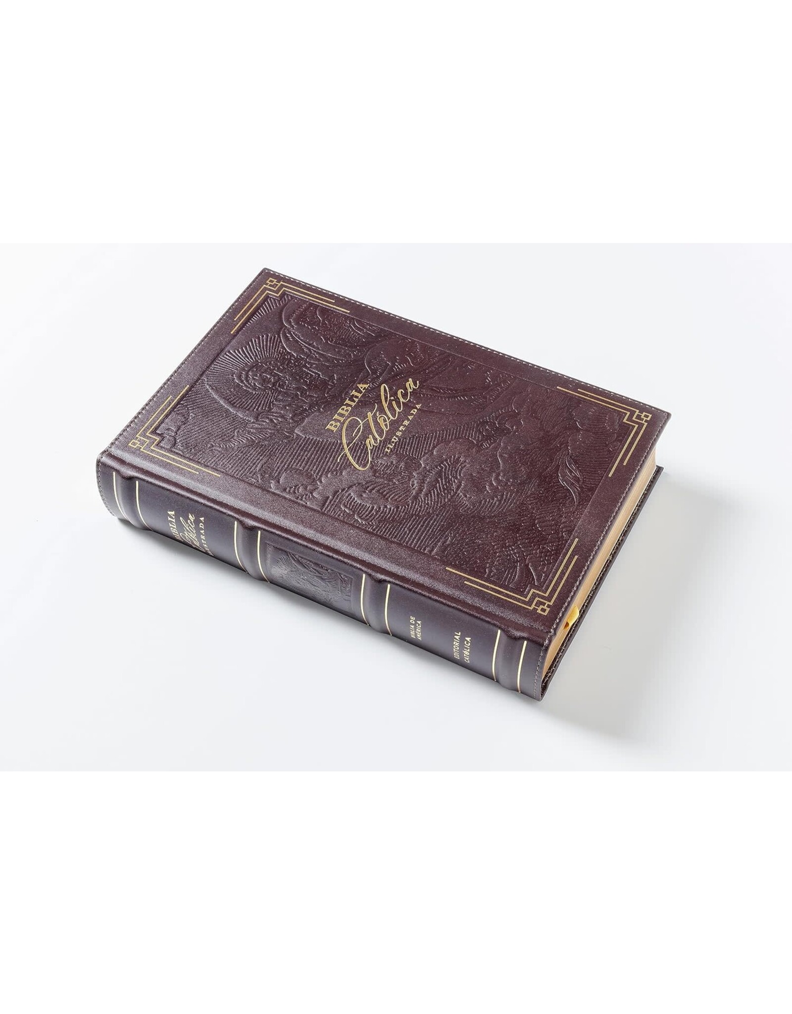 Catholic Bible Press Biblia Católica, Ilustrada, Piel Genuina, Café, Comfort Print