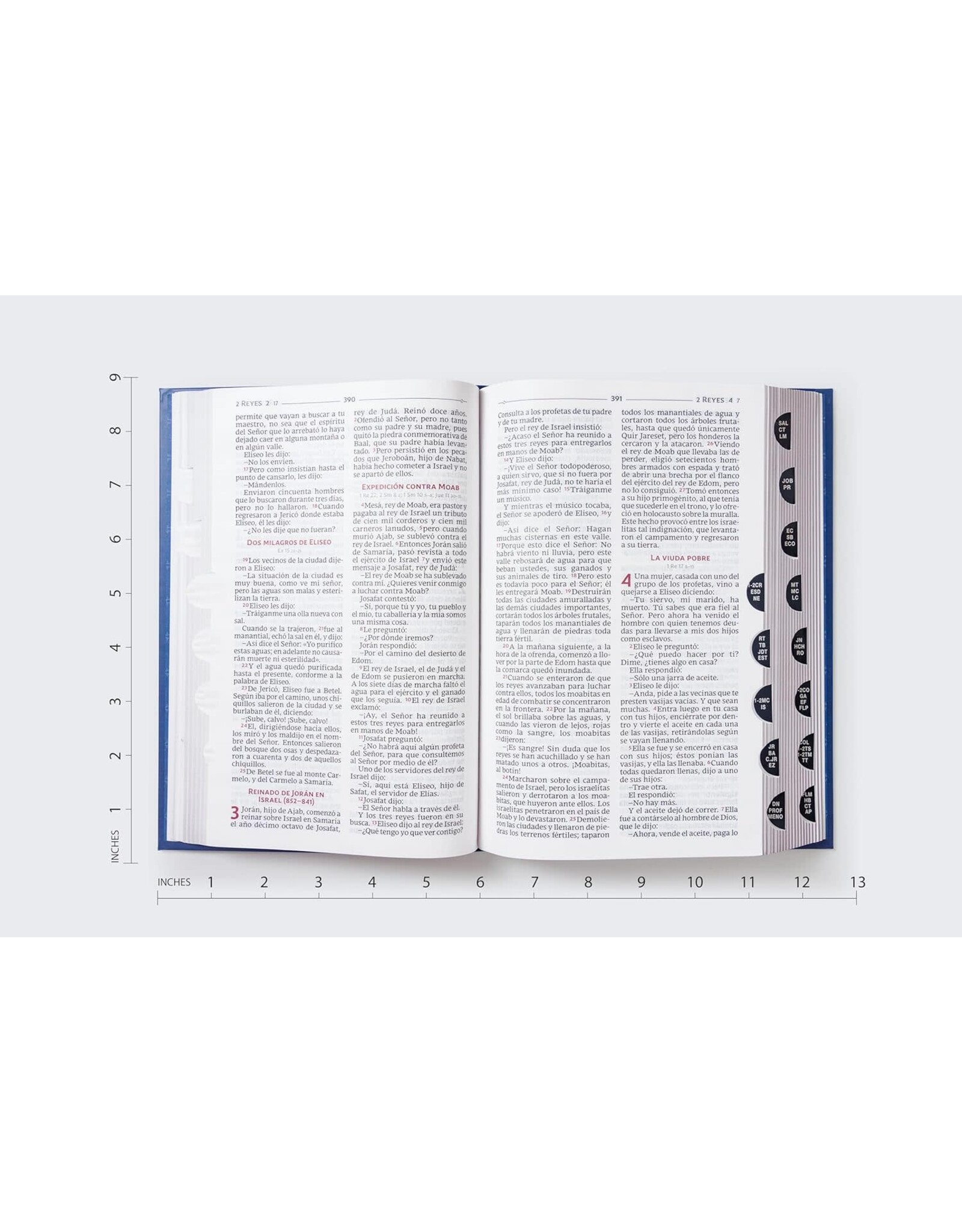 Catholic Bible Press Biblia Católica, Tamaño Personal, Tapa Dura, Azul, Con Índice, Comfort Print