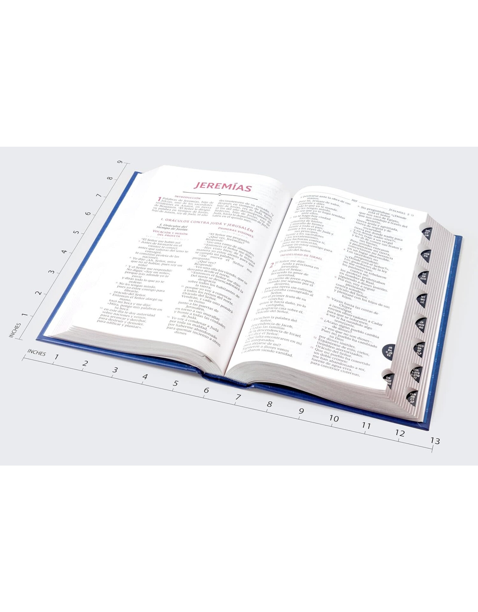 Catholic Bible Press Biblia Católica, Tamaño Personal, Tapa Dura, Azul, Con Índice, Comfort Print