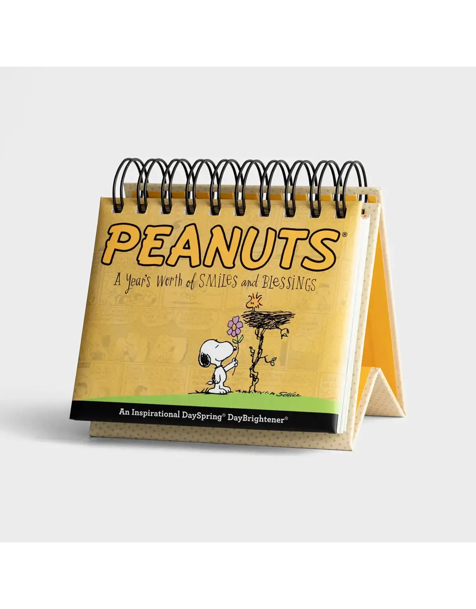 Dayspring Perpetual Calendar (Day Brightener) - Peanuts, Smiles & Blessings