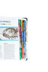 Ascension Press Bible Tabs - Great Adventure