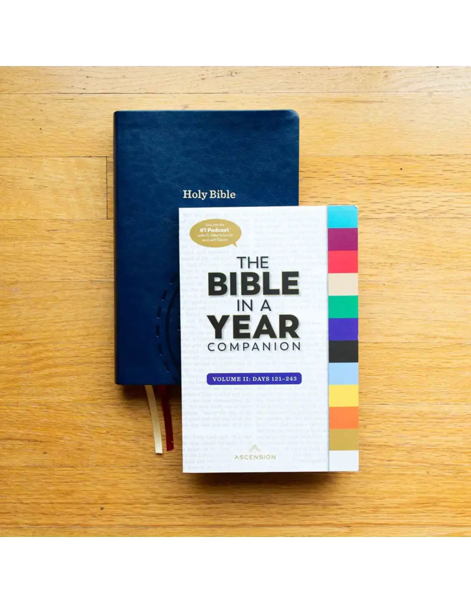 Ascension Press Bible in a Year Companion, Volume II