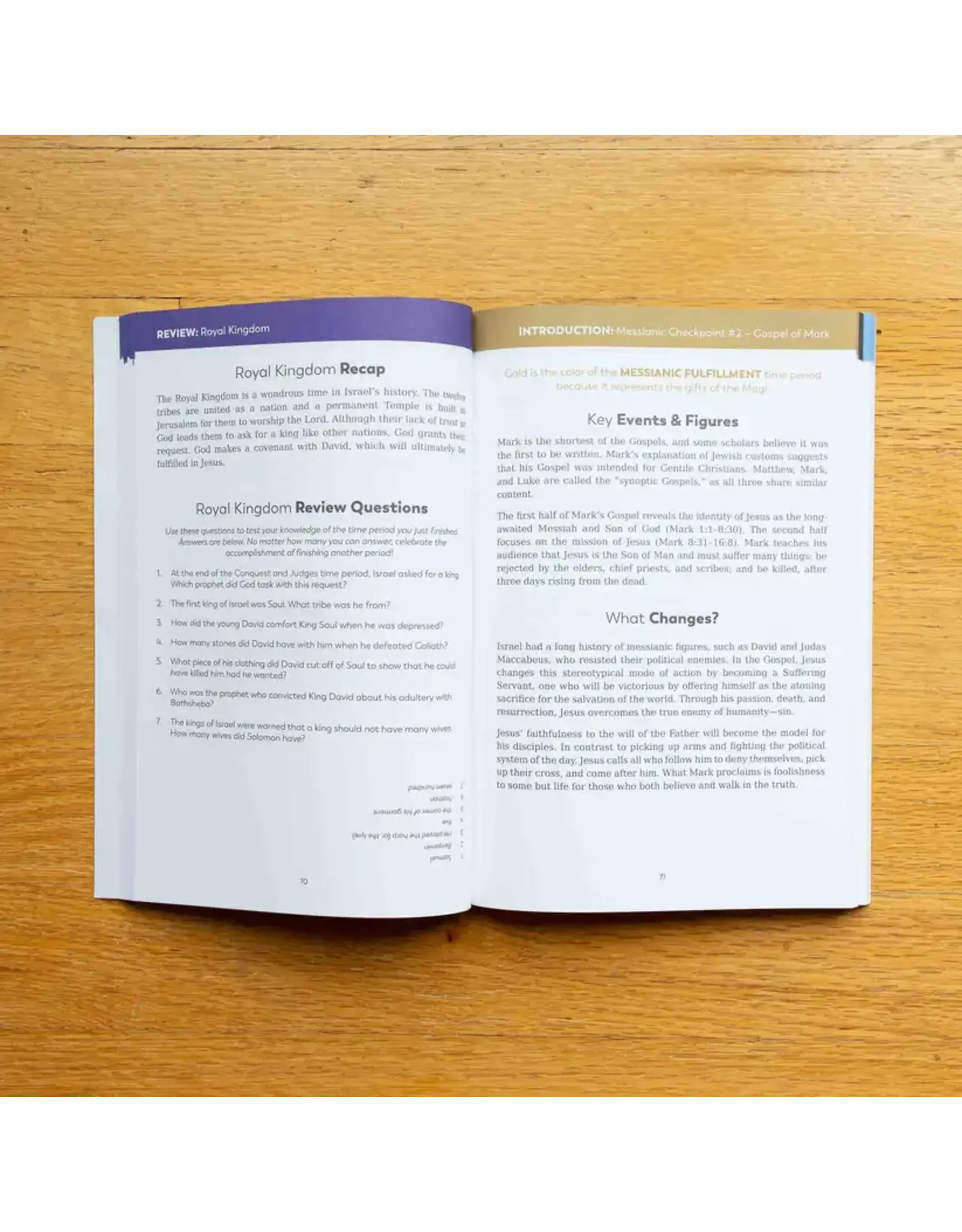 Ascension Press Bible in a Year Companion, Volume II