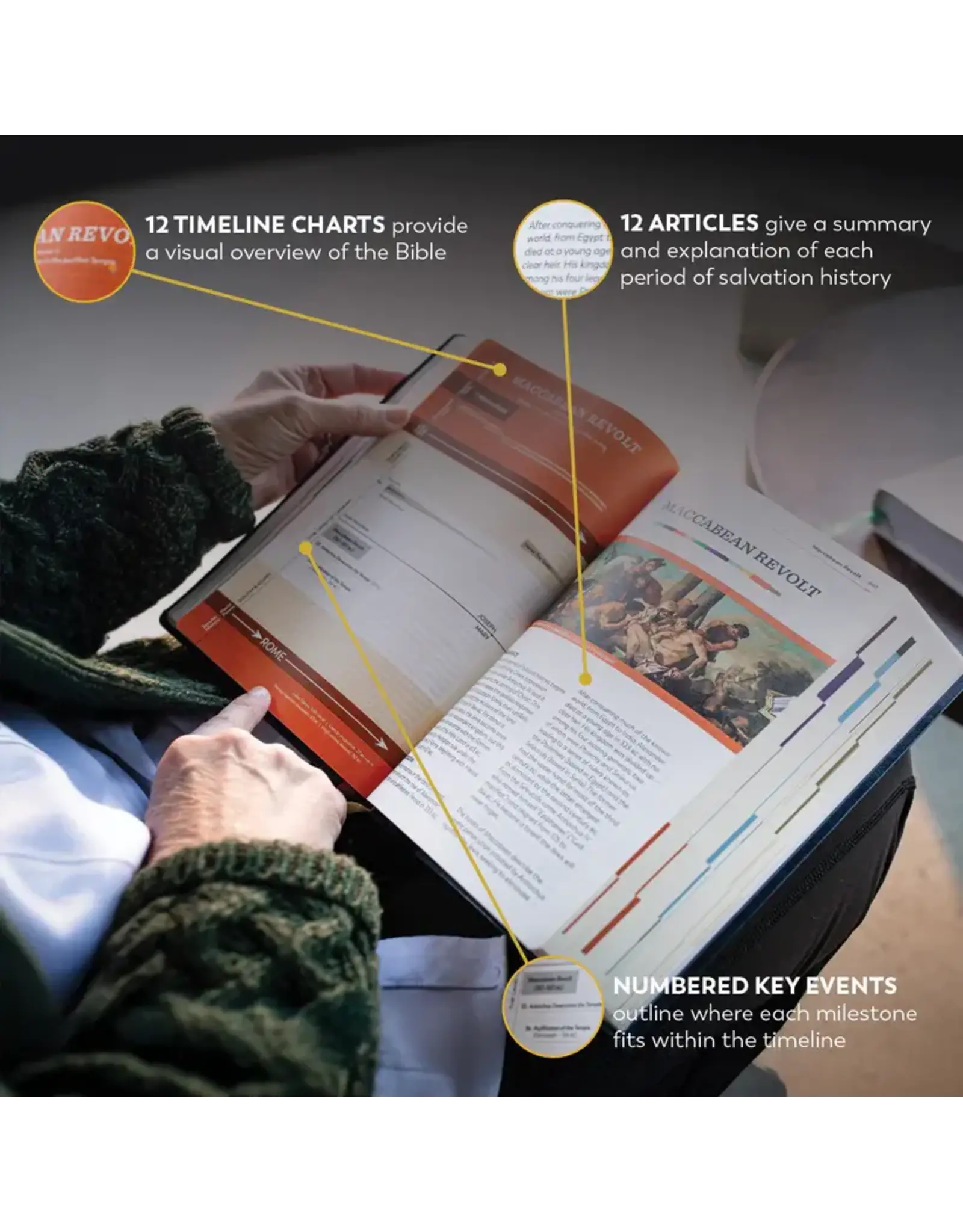 Ascension Press Great Adventure Catholic Bible - Large Print (SECOND EDITION)