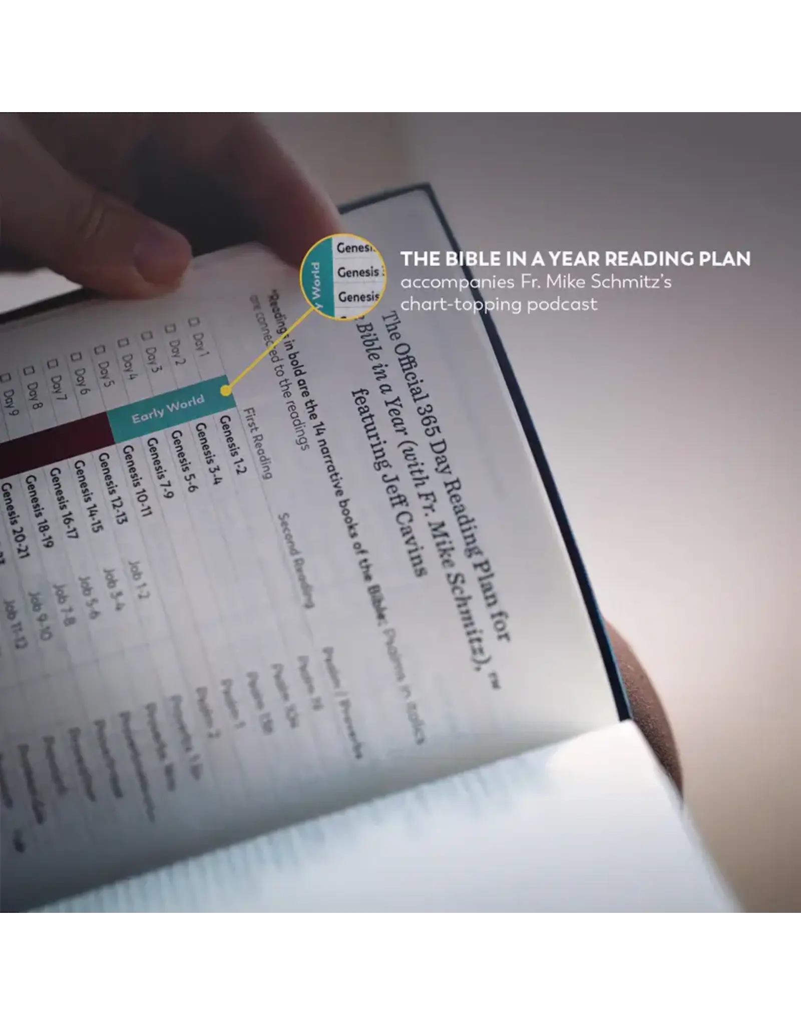 Ascension Press Great Adventure Catholic Bible - Large Print (SECOND EDITION)