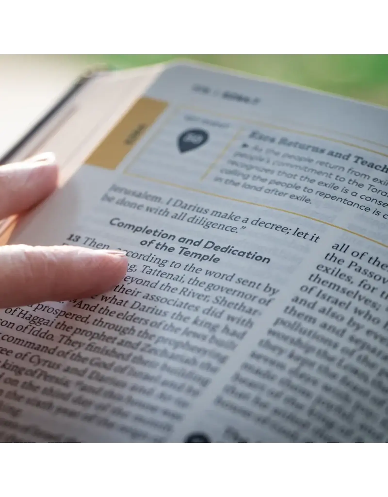 Ascension Press Great Adventure Catholic Bible - Large Print (SECOND EDITION)