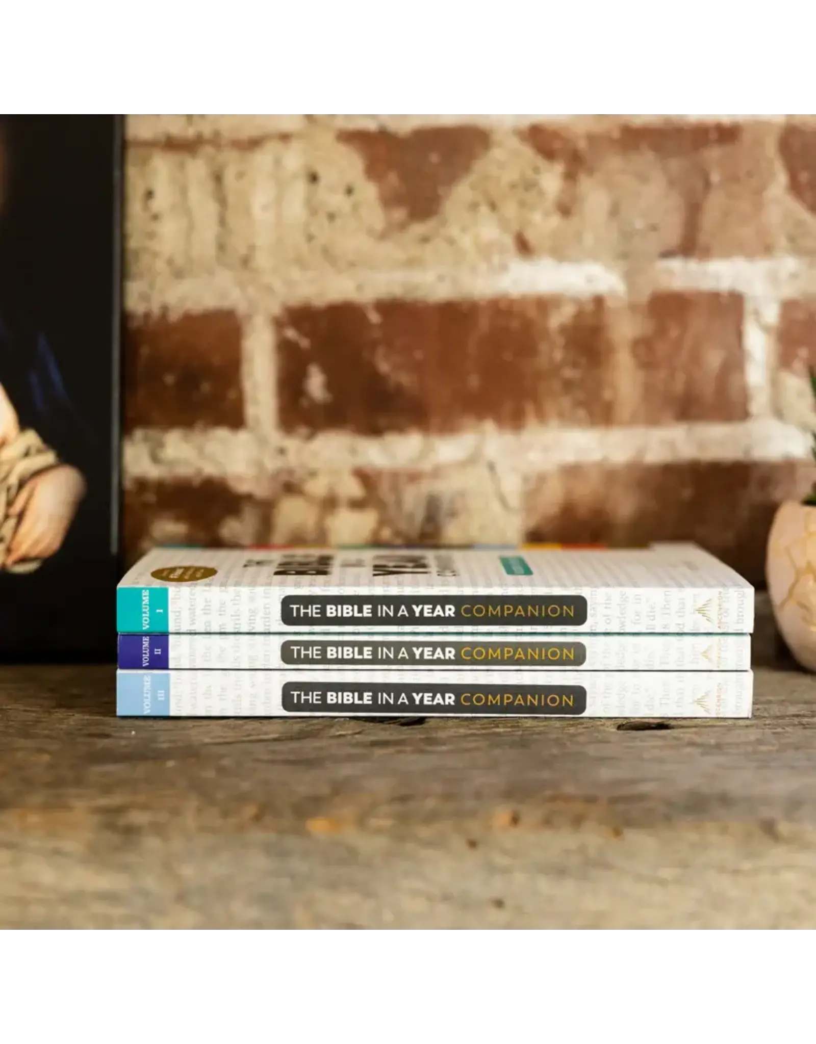 Ascension Press Bible in a Year Companion, Volume III