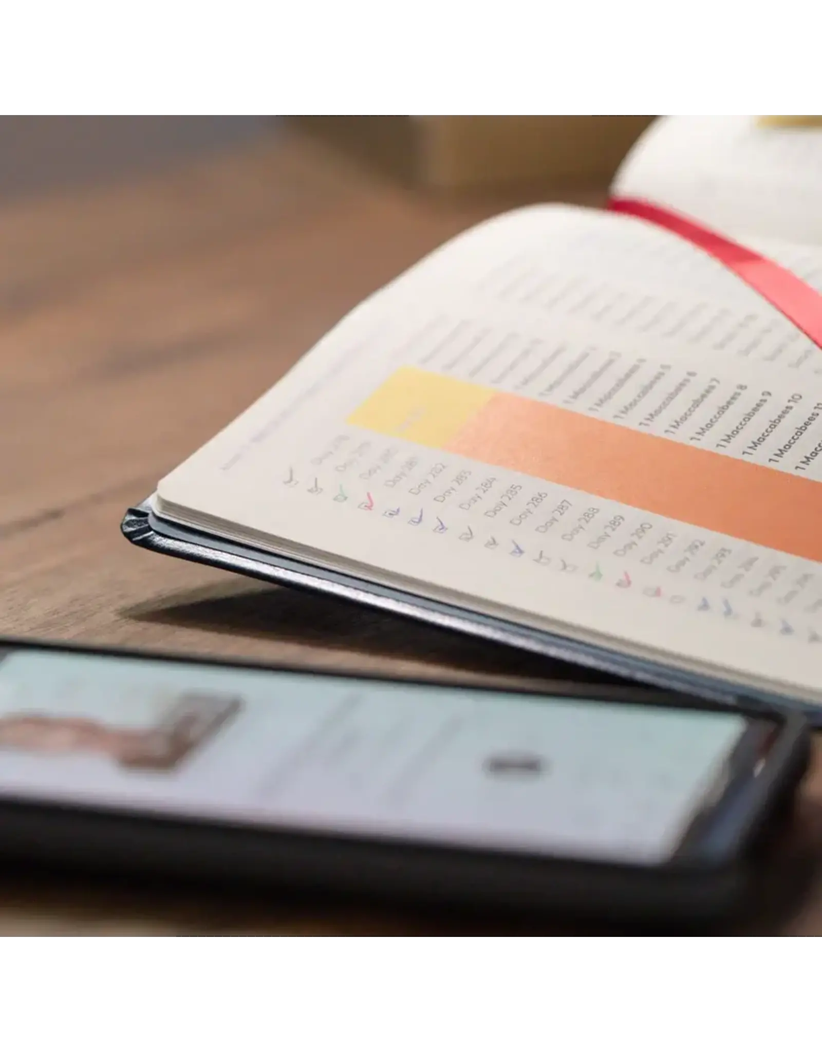 Ascension Press Great Adventure Catholic Bible - Notetaking (SECOND EDITION)