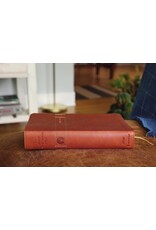 Zondervan NIV, Men's Devotional Bible, Leathersoft, Brown, Comfort Print