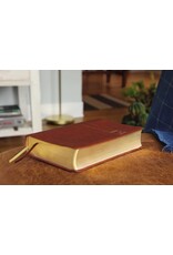 Zondervan NIV, Men's Devotional Bible, Leathersoft, Brown, Comfort Print
