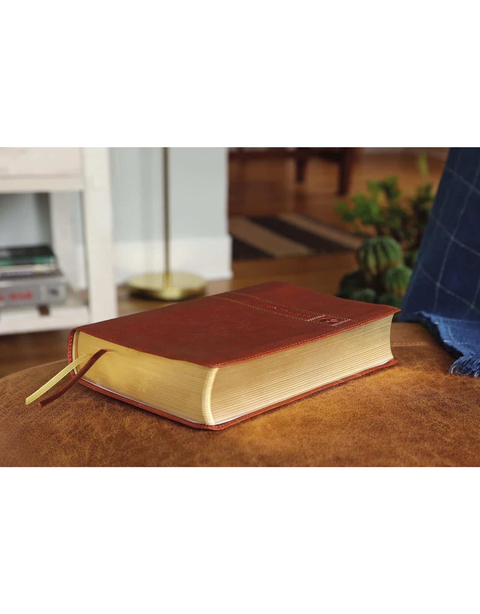 Zondervan NIV, Men's Devotional Bible, Leathersoft, Brown, Comfort Print