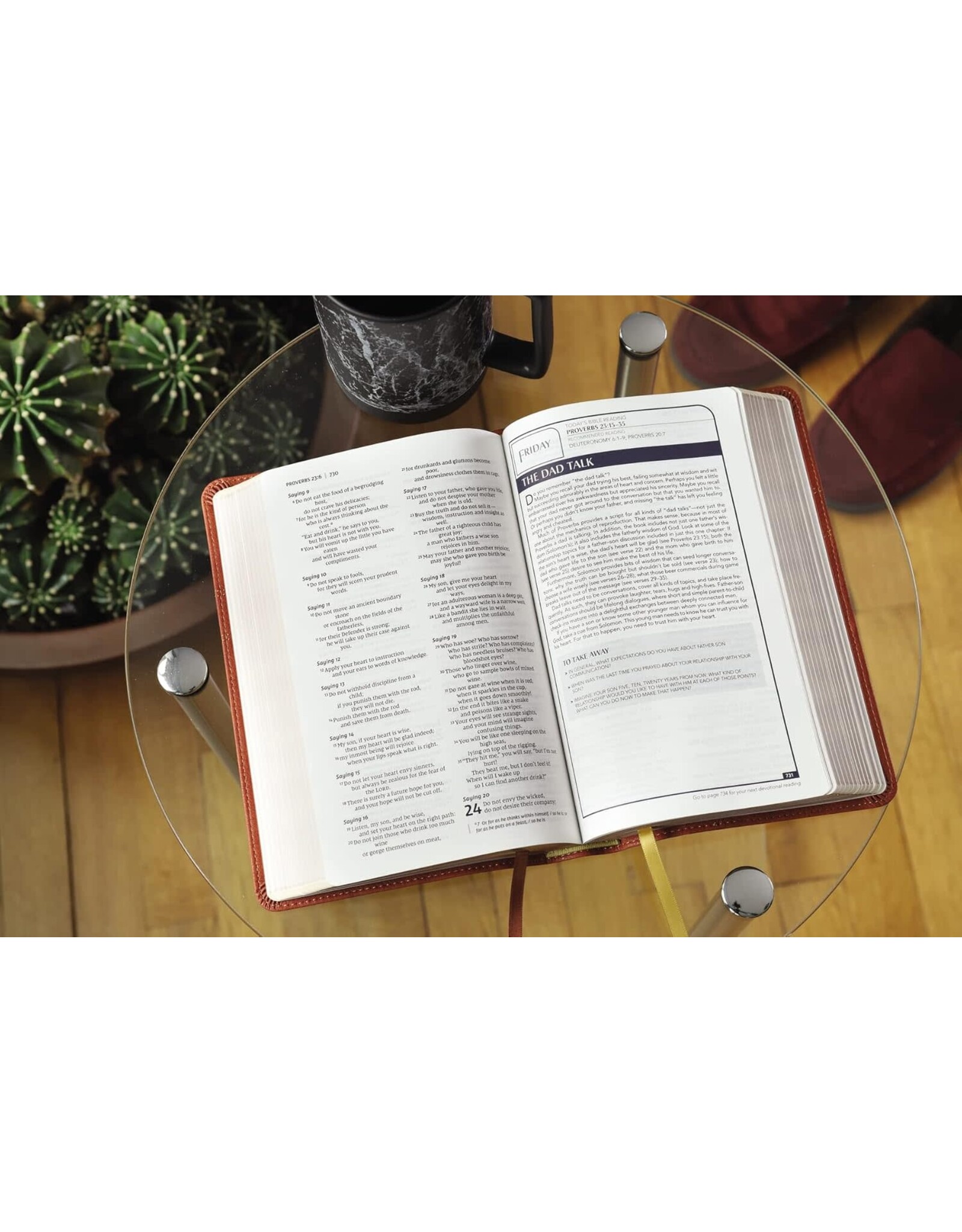 Zondervan NIV, Men's Devotional Bible, Leathersoft, Brown, Comfort Print