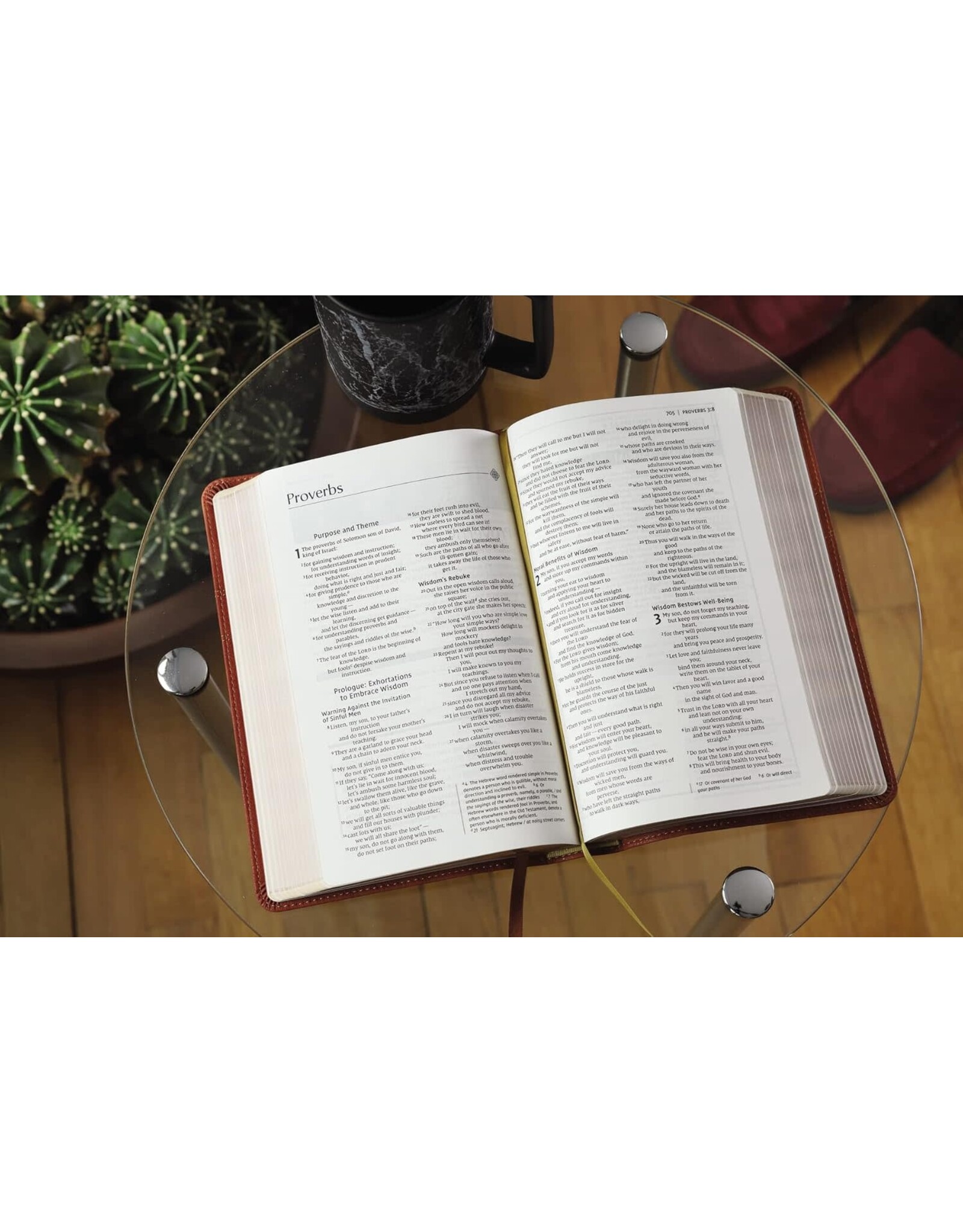 Zondervan NIV, Men's Devotional Bible, Leathersoft, Brown, Comfort Print