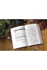 Zondervan NIV, Men's Devotional Bible, Leathersoft, Brown, Comfort Print