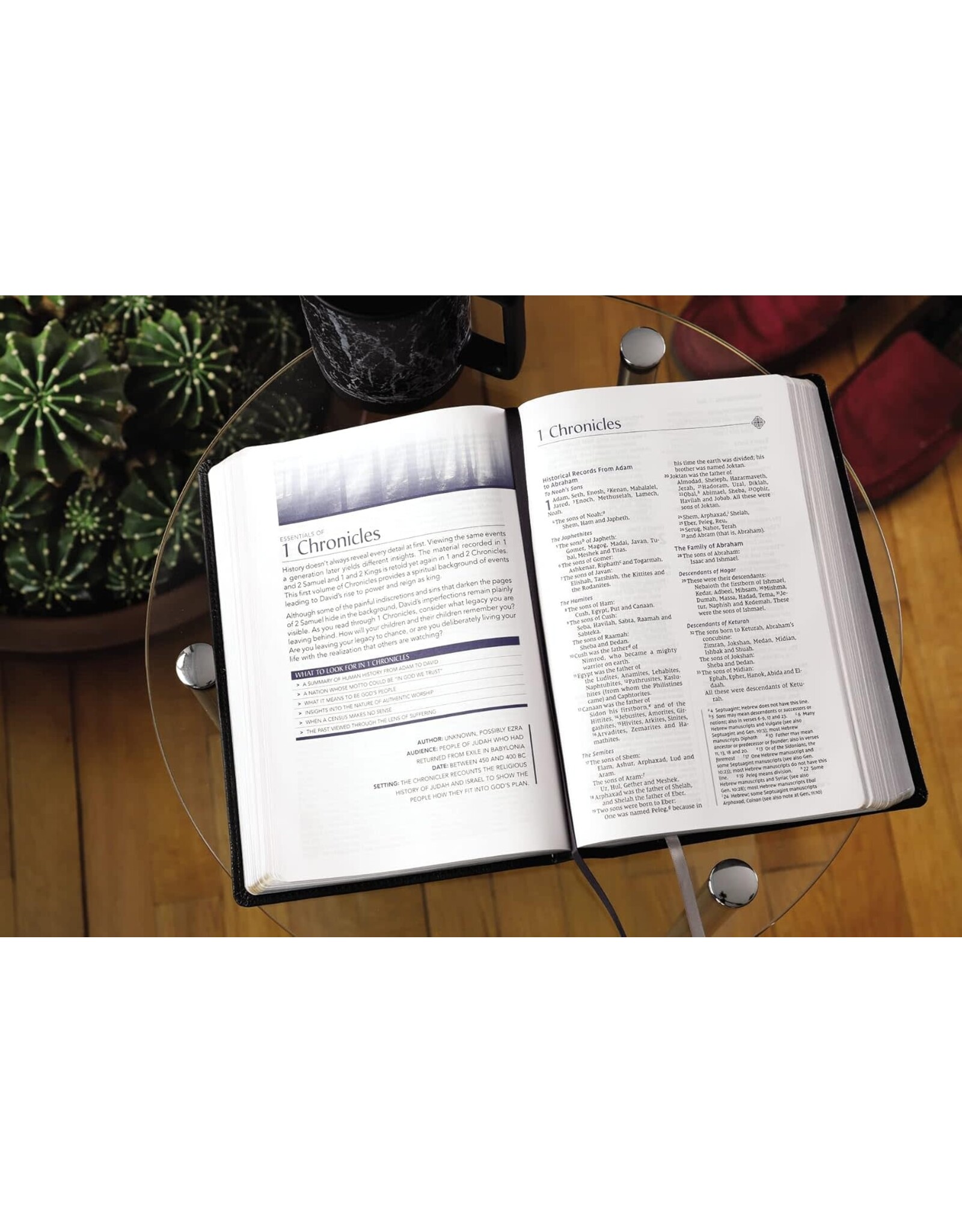 Zondervan NIV, Men's Devotional Bible, Leathersoft, Black, Large Print
