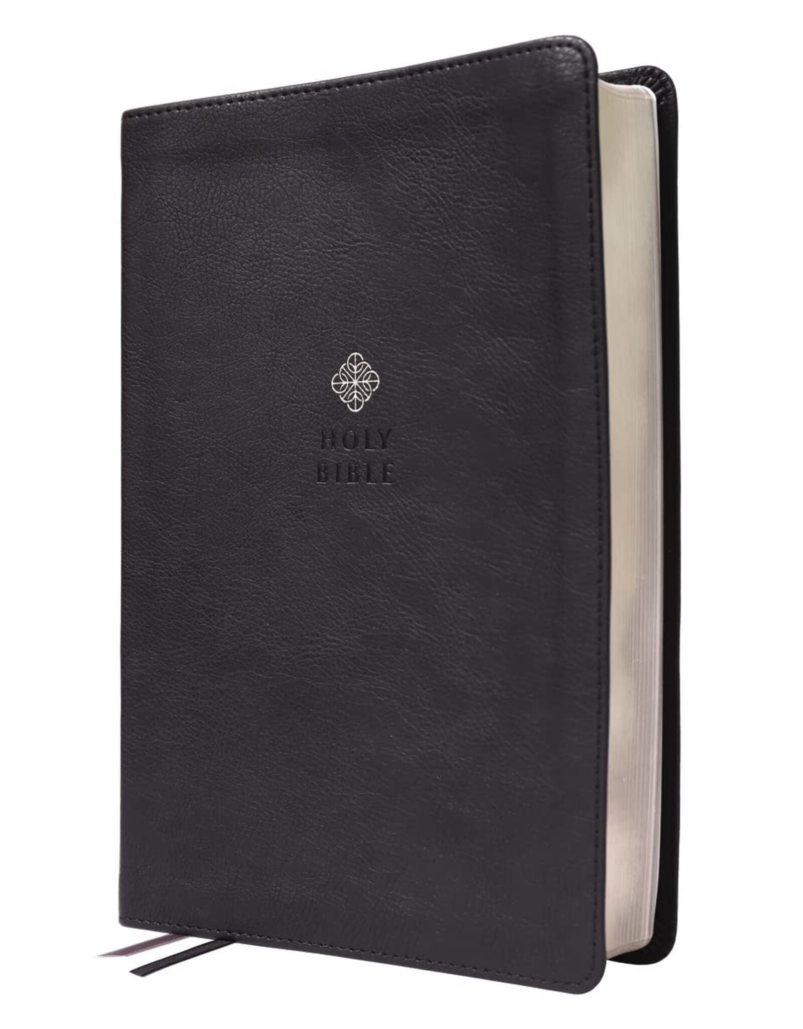 Zondervan NIV, Men's Devotional Bible, Leathersoft, Black, Large Print