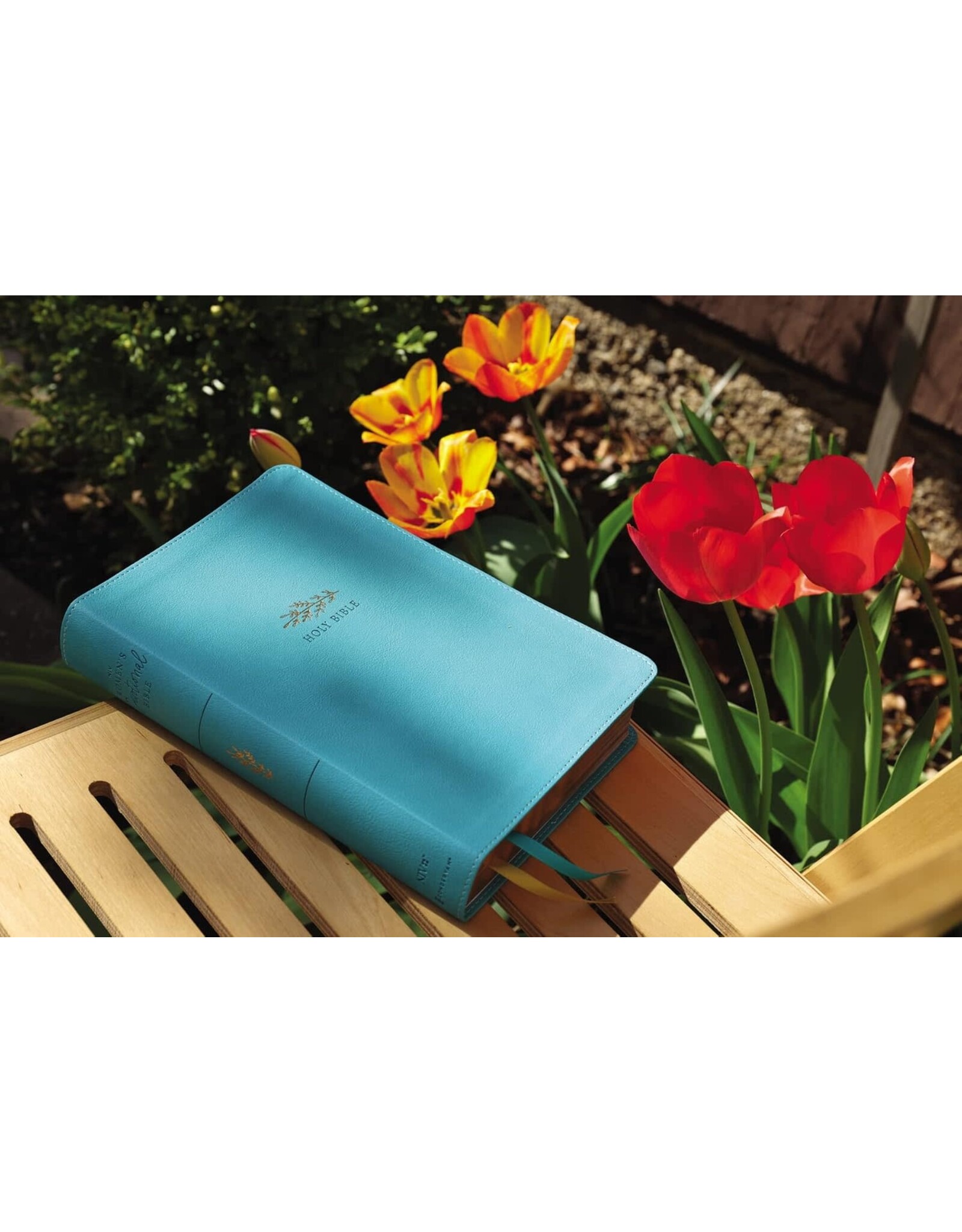 Zondervan NIV, Women's Devotional Bible, Leathersoft, Teal, Large Print