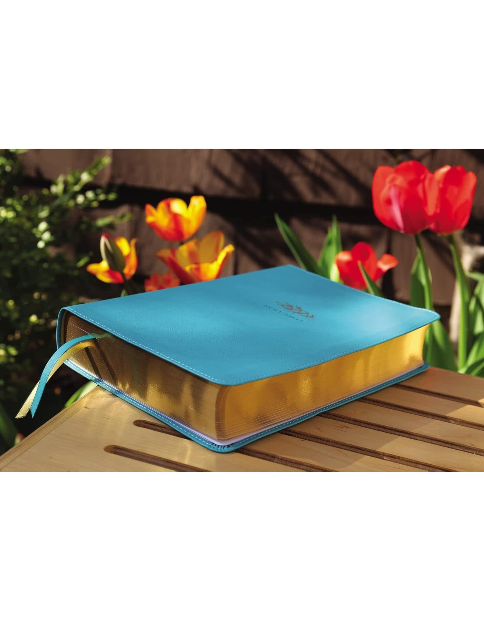 Zondervan NIV, Women's Devotional Bible, Leathersoft, Teal, Large Print