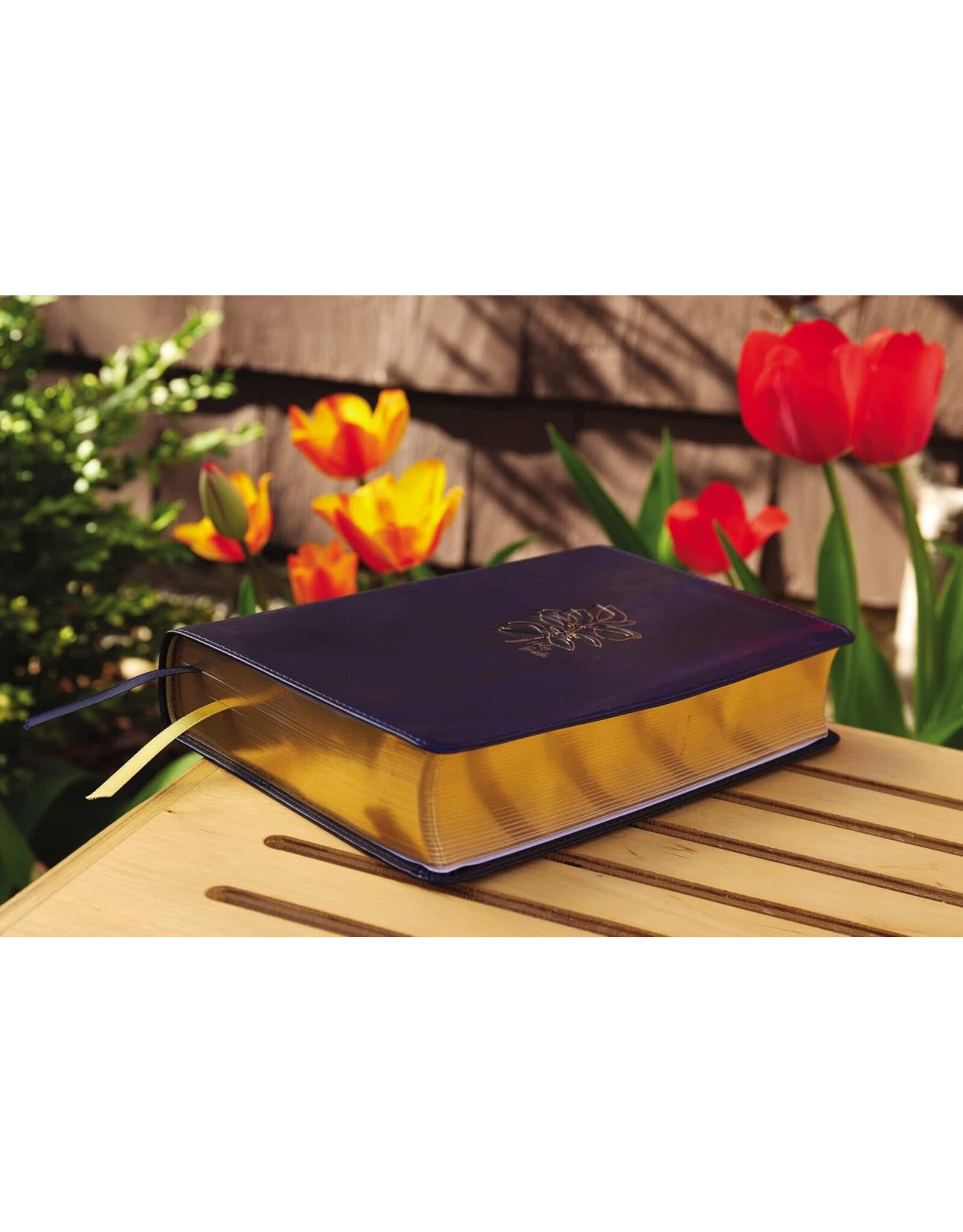 Zondervan NIV, Women's Devotional Bible, Leathersoft, Navy, Comfort Print