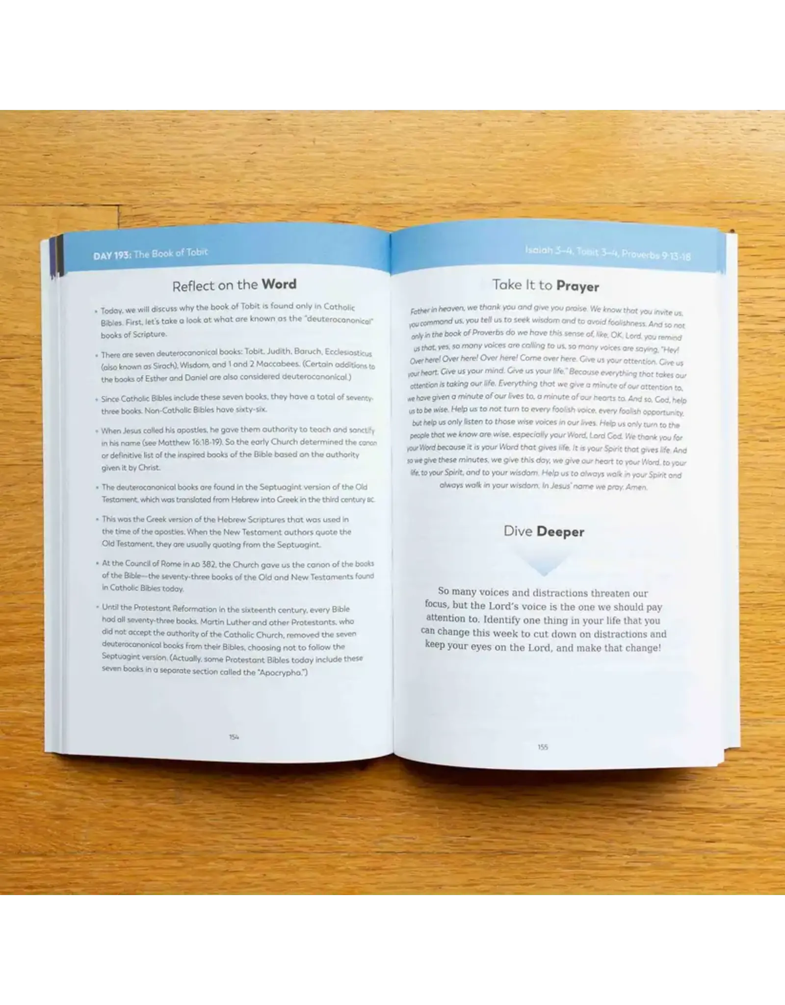 Ascension Press Bible in a Year Companion, Volume II