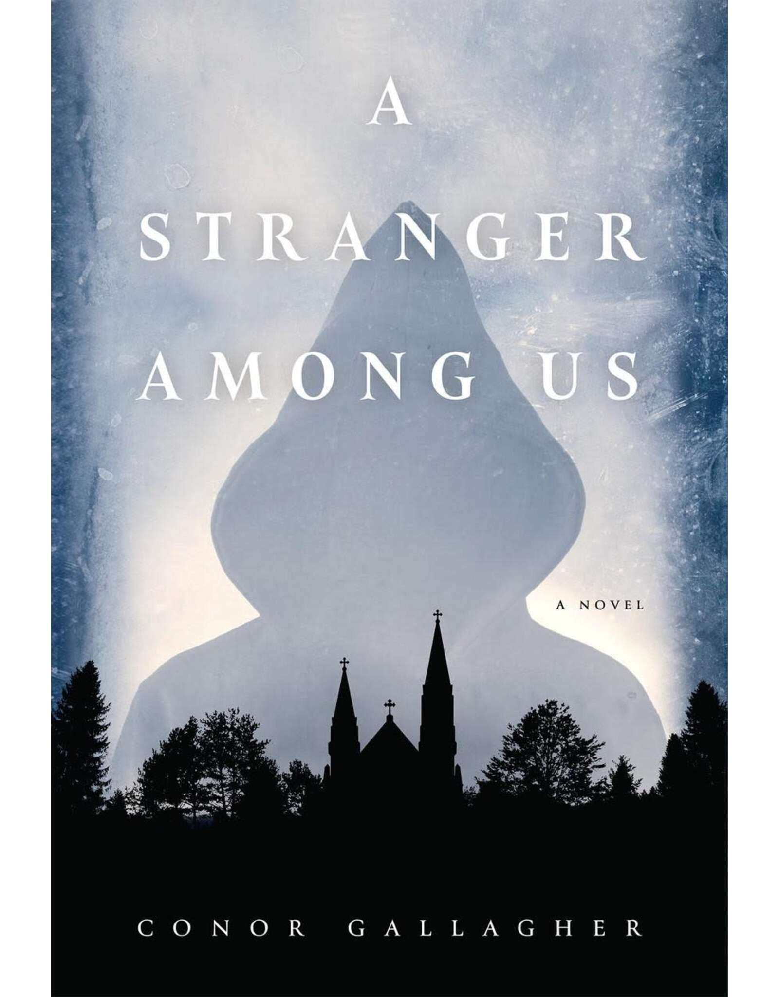 Tan Books (St. Benedict Press) A Stranger Among Us