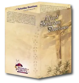 Road to Purity 5 First Saturday Devotions (6x3 Folded)