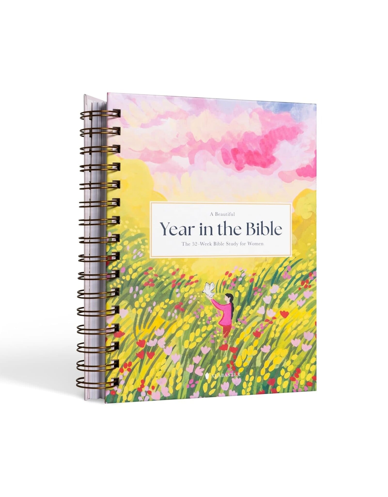 Alabaster Beautiful Year in the Bible