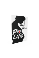 Catholic Answers Why We're Pro-Life