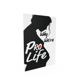 Catholic Answers Why We're Pro-Life