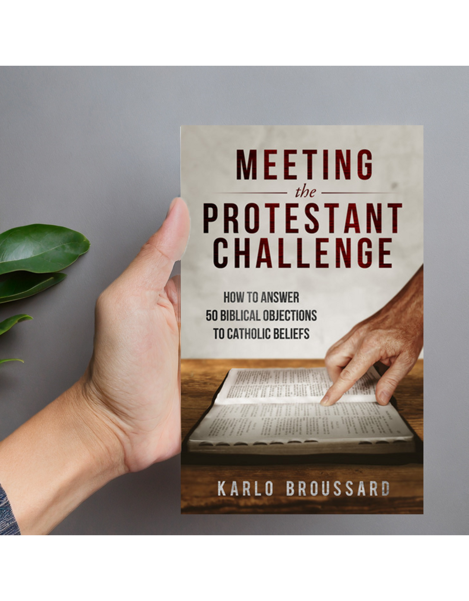 Catholic Answers Meeting the Protestant Challenge