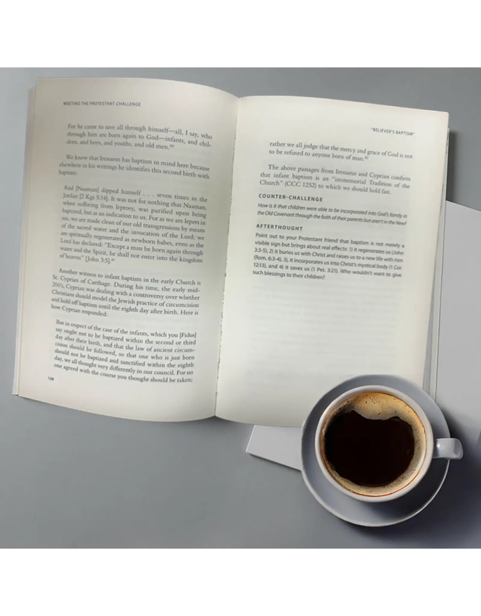 Catholic Answers Meeting the Protestant Challenge