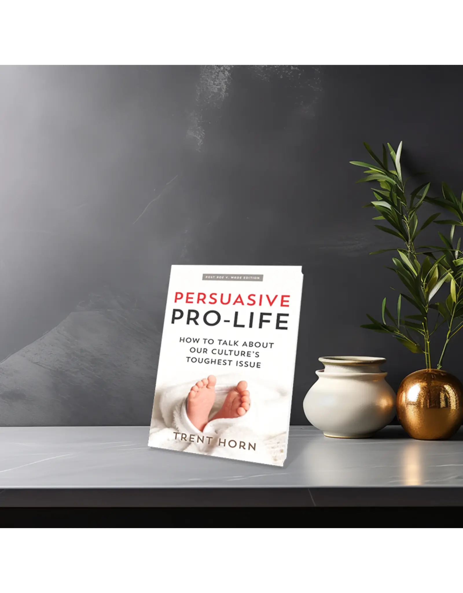 Catholic Answers Persuasive Pro-Life: How to Talk about Our Culture's Toughest Issue