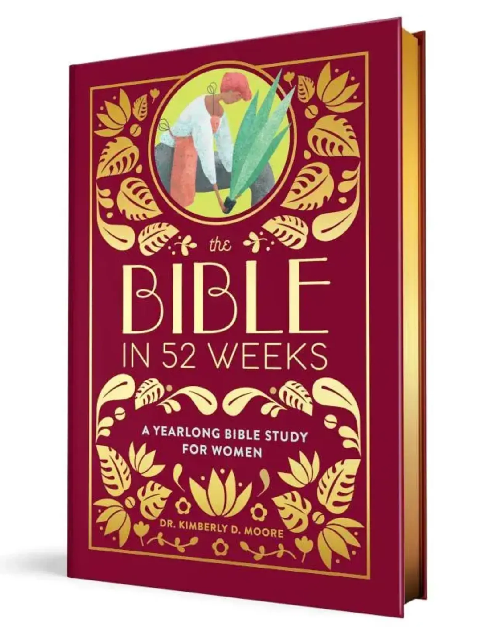Sourcebooks Wonderland Bible in 52 Weeks: Yearlong Bible Study for Women (Deluxe Edition)