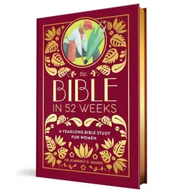 Sourcebooks Wonderland Bible in 52 Weeks: Yearlong Bible Study for Women (Deluxe Edition)