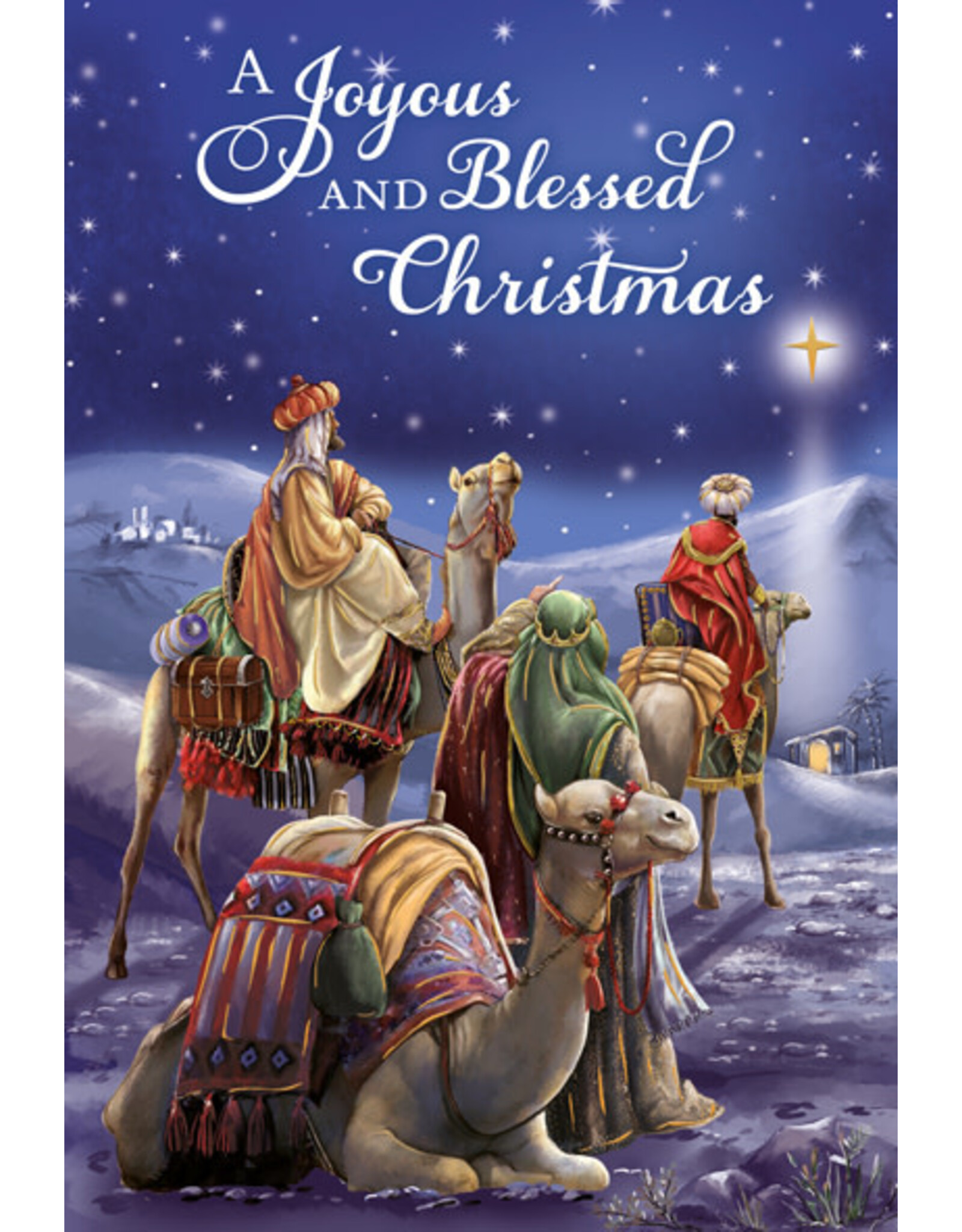 Greetings of Faith Boxed Christmas Cards - Joyous & Blessed Christmas (15)