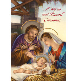 Greetings of Faith Boxed Christmas Cards - Joyous & Blessed Christmas (15)