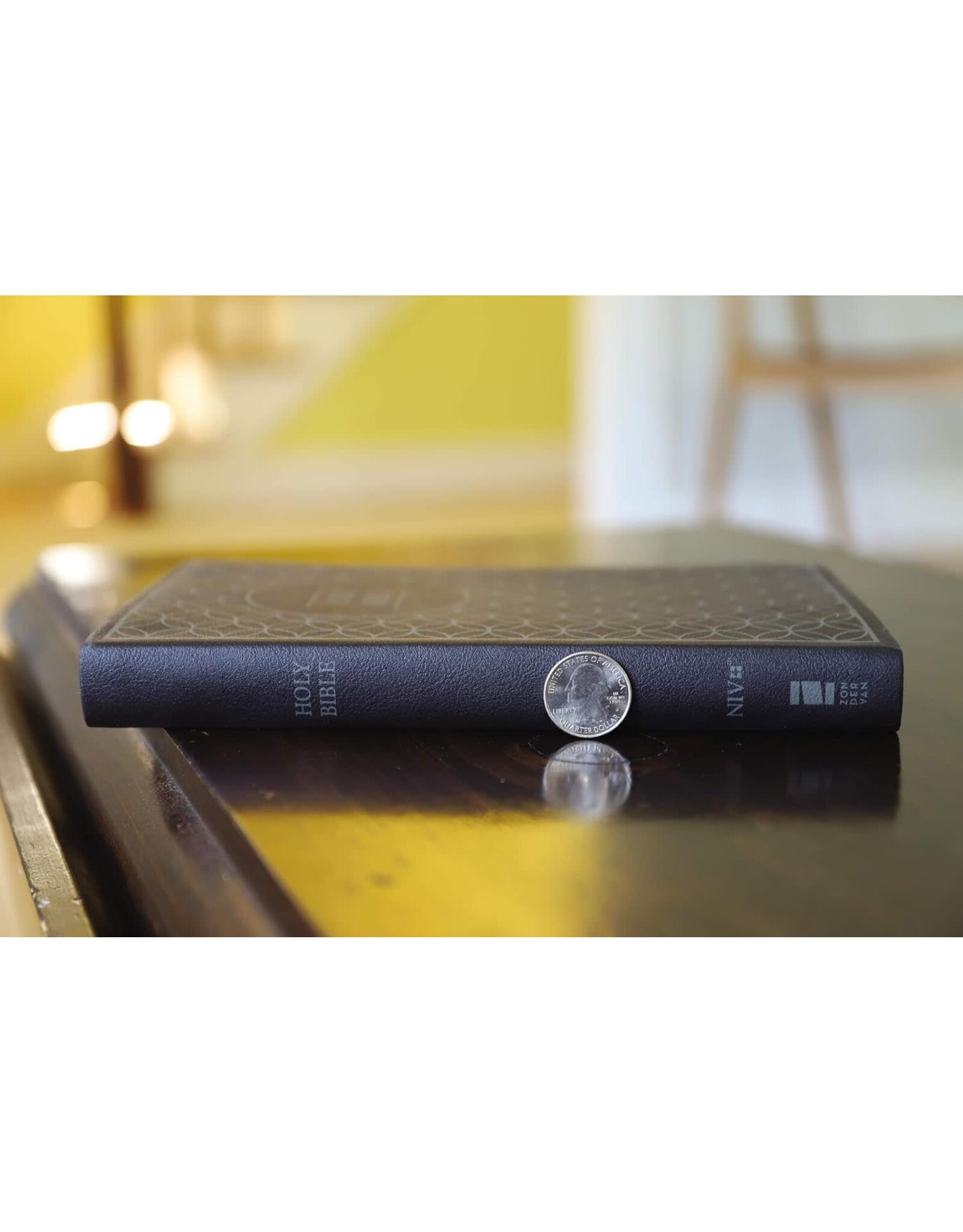 Zondervan NIV Value Thinline Bible, Gray/Black Imitation Leather