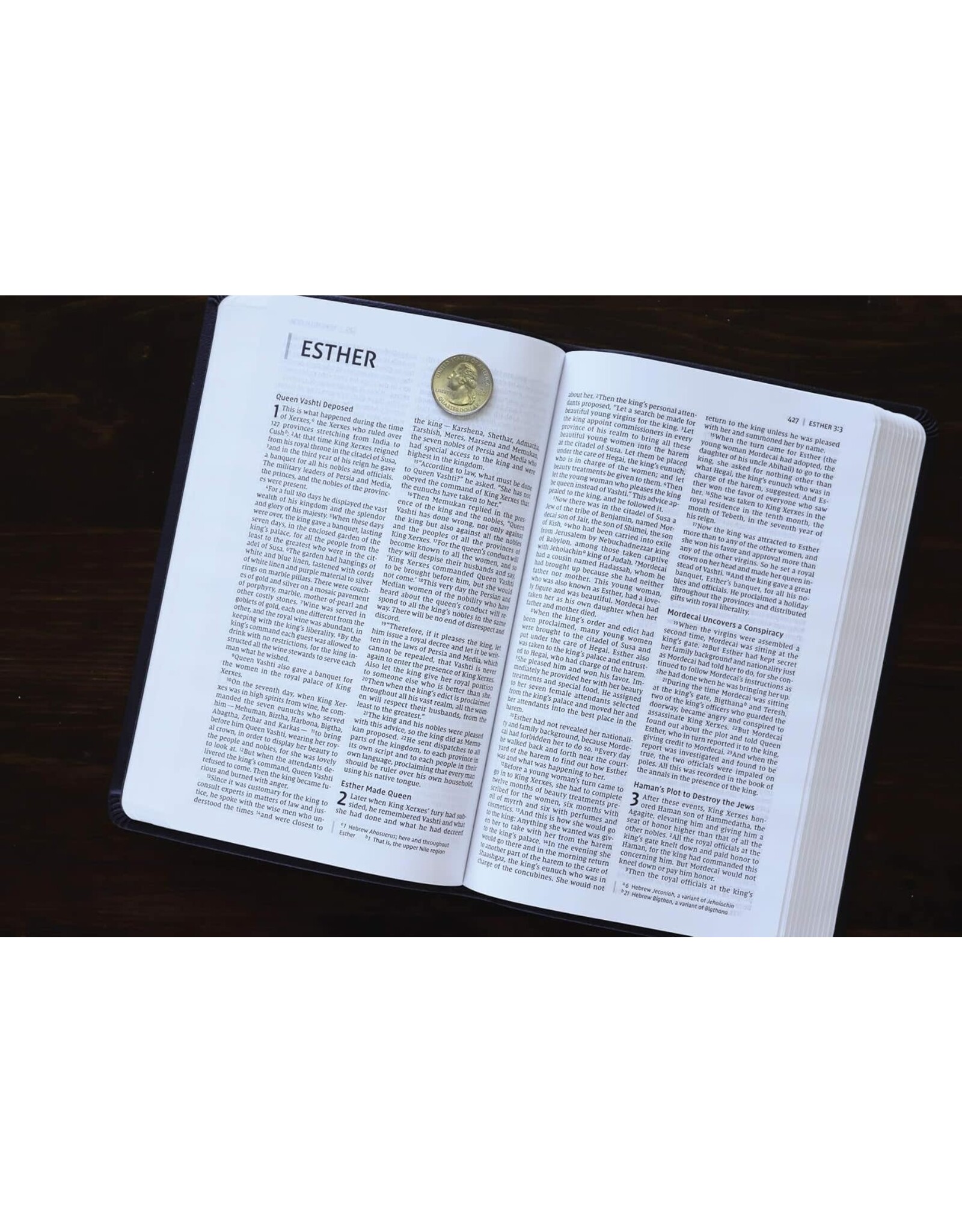 Zondervan NIV Value Thinline Bible, Gray/Black Imitation Leather