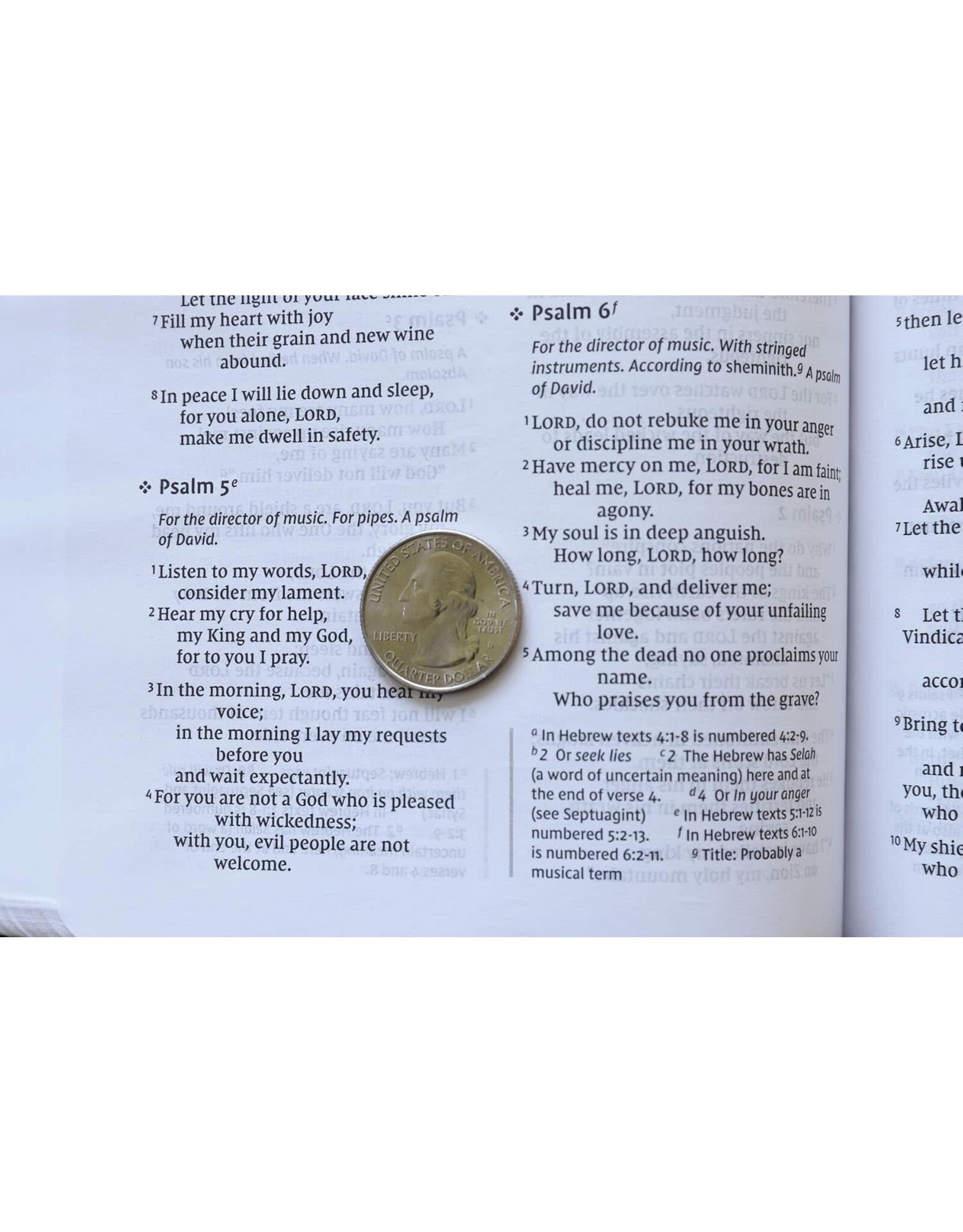 Zondervan NIV Value Thinline Bible, Gray/Black Imitation Leather