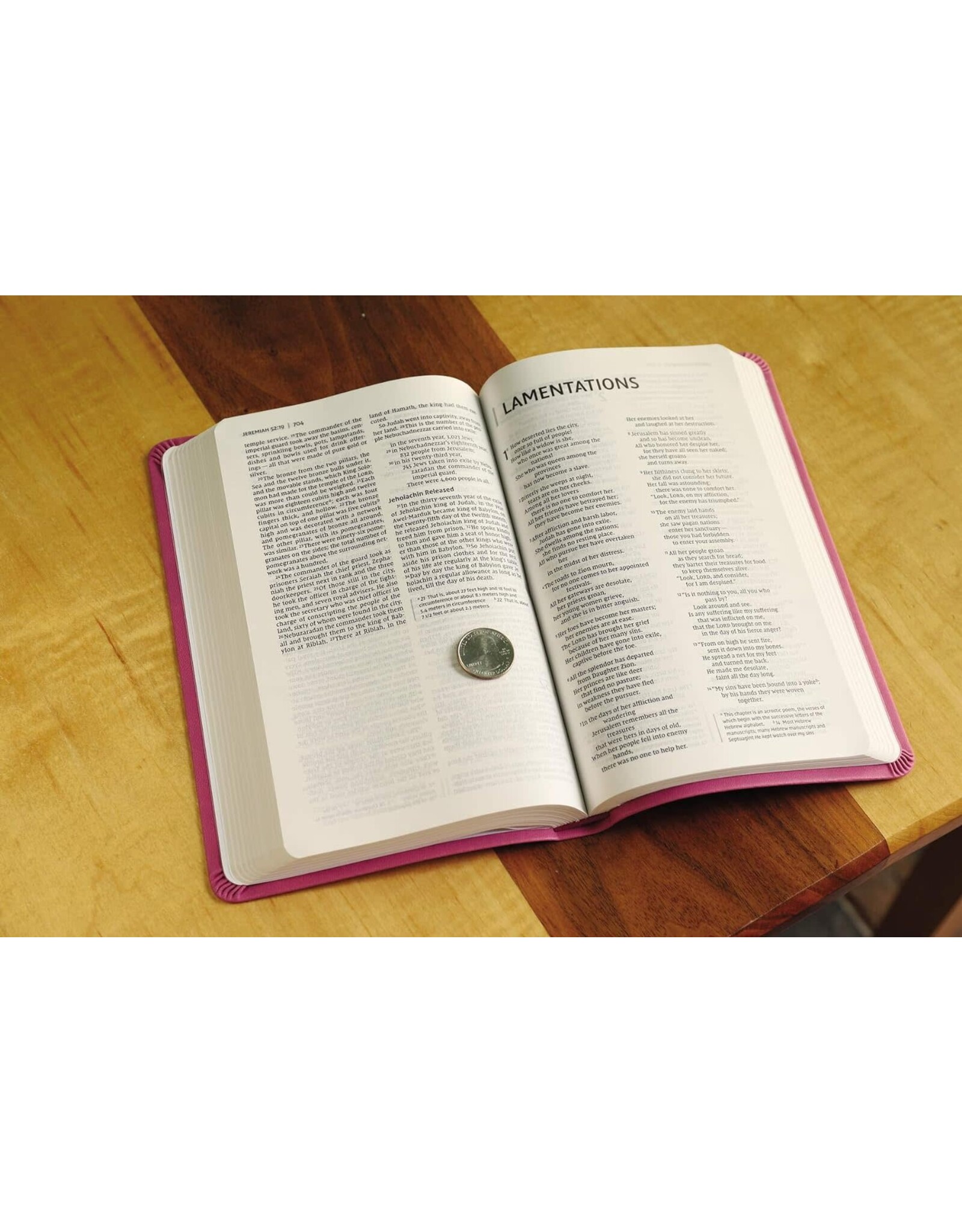 Zondervan NIV Value Thinline Bible, Pink Imitation Leather